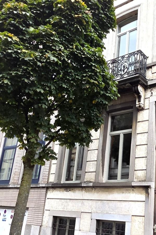 Portes et châssis : Bois