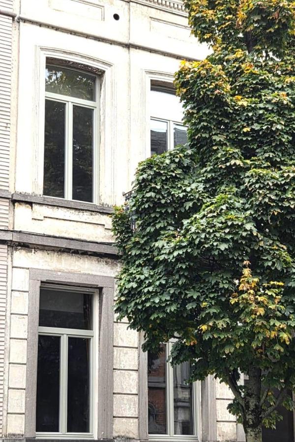 Portes et châssis : Bois