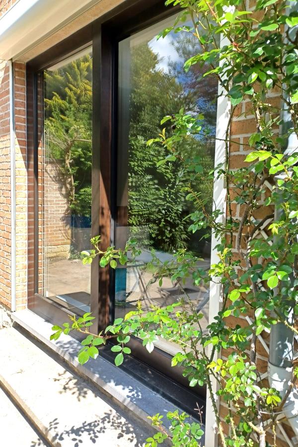 Portes et châssis : Bois