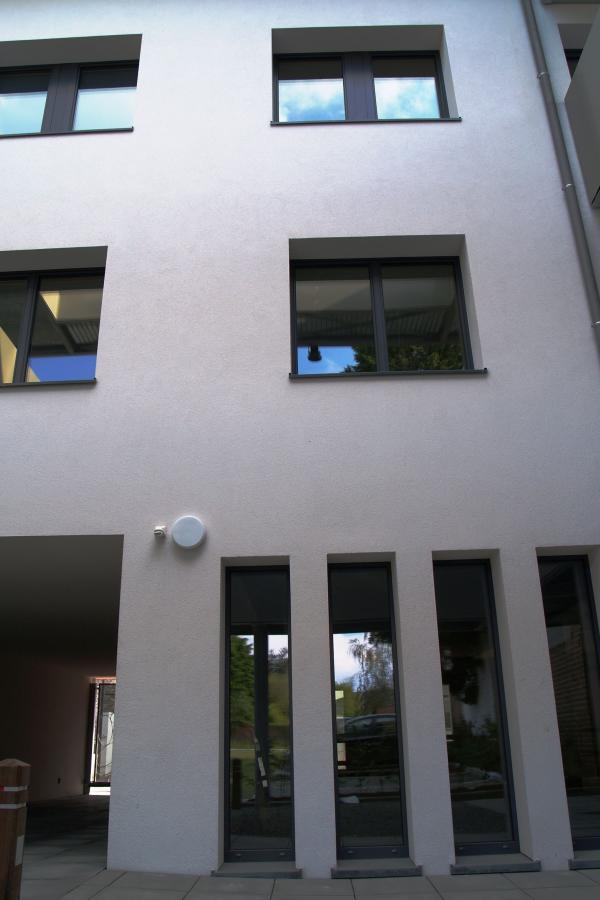 Portes et châssis : Bois-Alu